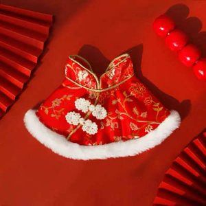 New Year's pet gold-edged brocade shawl with white buttons is very festive