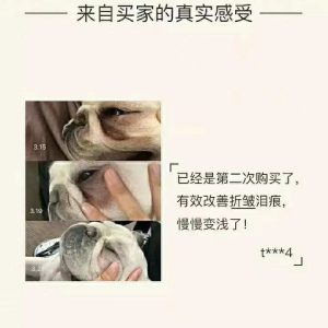 0199605f 7381 4ec0 b8a4 8e8e939c3a3e