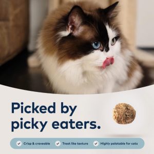 ZIWI Peak Steam & Dried Cat Food 8 1677d78e1fc3a89df1d2