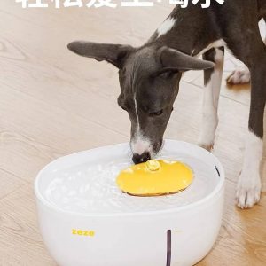 ZEZE Pebble anti-knockover pet water dispenser anti-moisture chin protection cervical vertebrae safe and no leakage