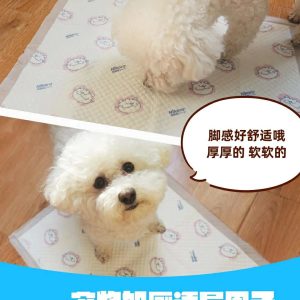 Nikoro pet training pad with toileting factor