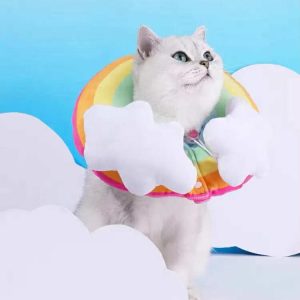ZEZE Rainbow Cat Elizabethan Collar Sterilization Injury Essential