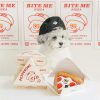 BITEME Dog Pizza Toy Sound Toy