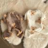 Small dog pet four-legged home clothes double-sided fleece warm pajamas anti-shedding beige