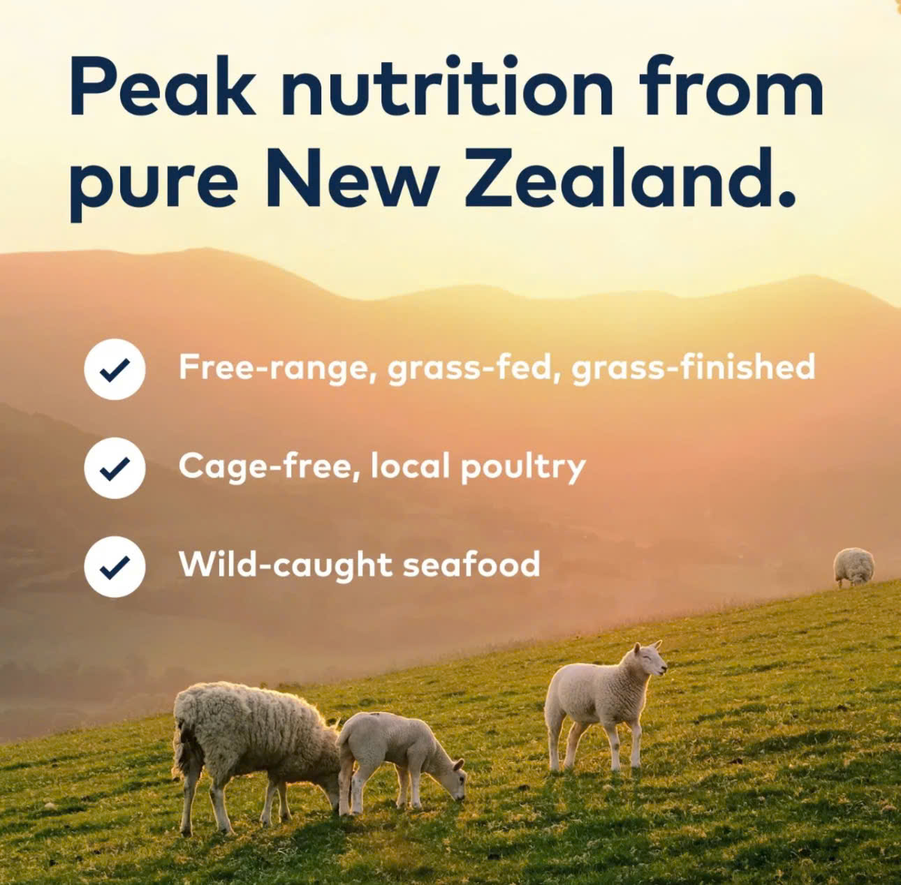 ZIWI Peak Steam & Dried Cat Food 5 57103ac0f28d45d31c9c