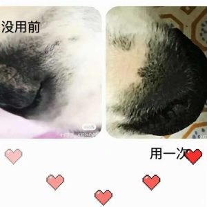 7ed5ad19 d522 412b ac58 b5884ac9a45f