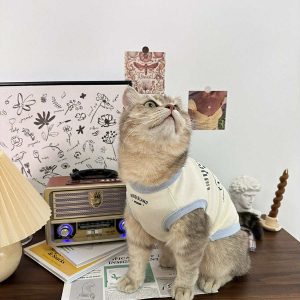 8e3c0ae1 af78 4414 8bca 08e0c60de871