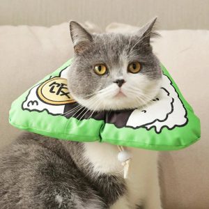 Rice ball Elizabeth circle shame circle injury sterilization essential