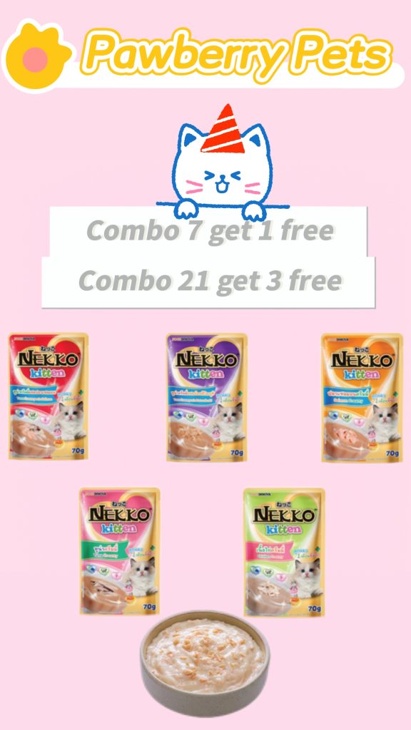 Nekko Kitten Creamy - Pawberry Pets