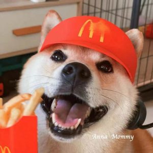 Maimen pet hat with walkie-talkie pet headgear