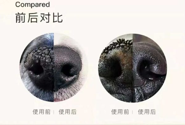 d64aec92 1754 403a ba0e b40dd590eb12