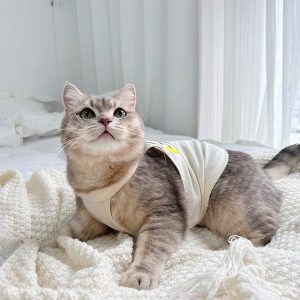 Meow meow