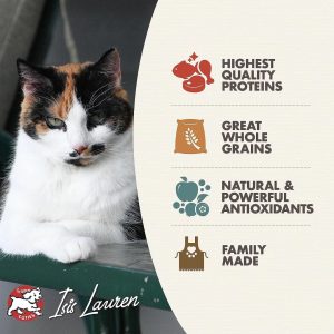 Fromm Gold Adult Cat Food 9 img 2657 1
