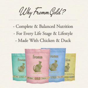 Fromm Gold Adult Cat Food 7 img 2659 1